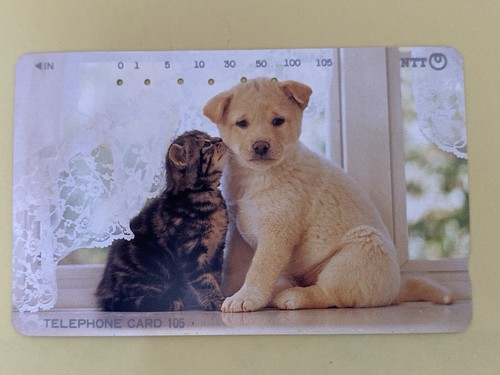 Tiny animal dog - animal,