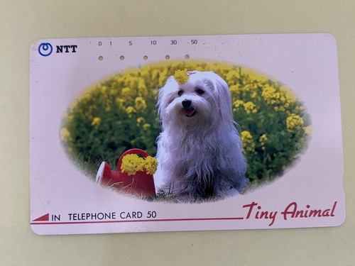 Tiny animal dog telephone - animal,