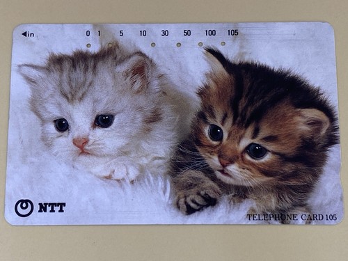 Tiny cats telephone - cats, cards