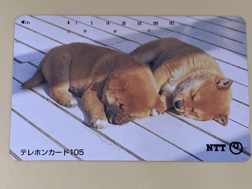 Tiny sleepy dogs telephone - sleepy,