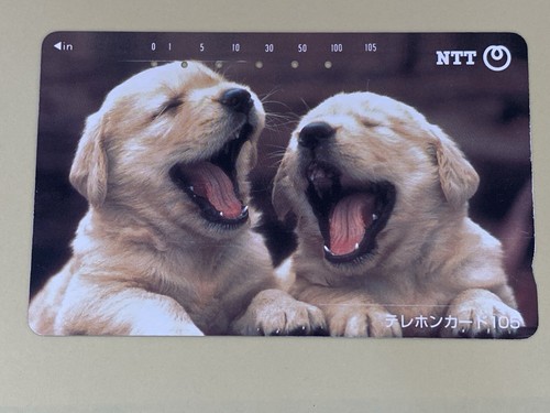 Tiny dogs telephone - dogs, cards